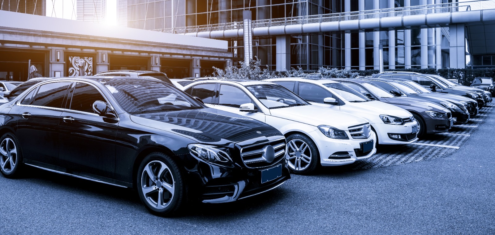 Premium Car rentals